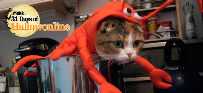 Hollywood California best hookup apps