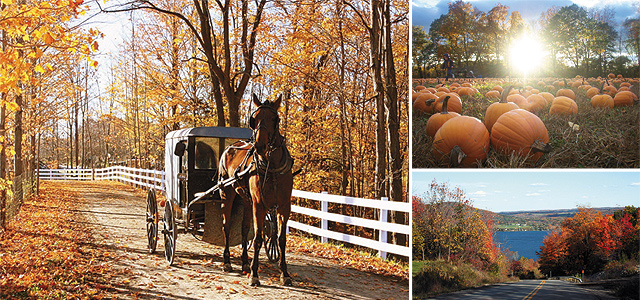 (Clockwise from left) Horse Carriage; Pumpkin Patch; Ontario County. Photos courtesy of New York State Tourism.