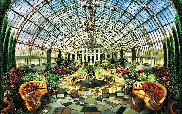 Enjoy the sights and smells of the flowers in the Marjorie McNeeley Conservatory at Como Park. Photo by Dan Anderson