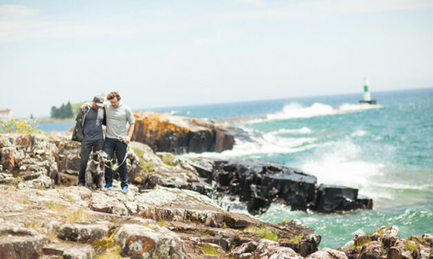 North Shore Quarterly: Cook County Calmness