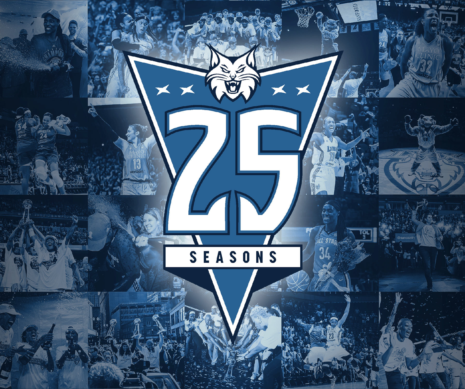Partnership: Twenty-Five Years of The Lynx And Our Community - Vimarsana News