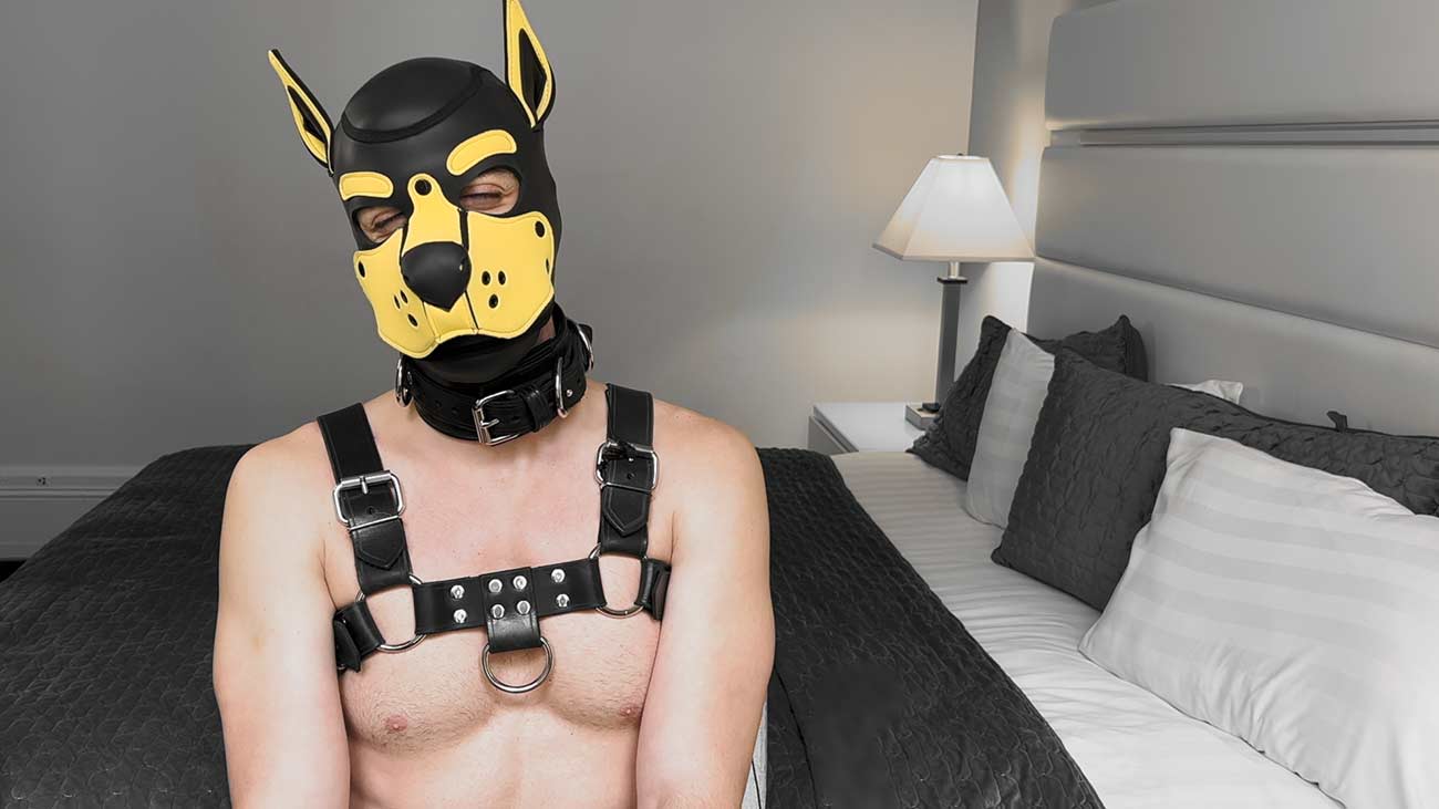 Male in a leather puppy mask shirtless and wearing a harness.