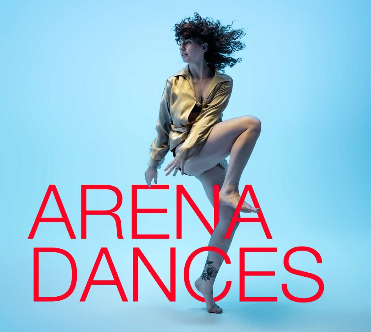 Dancer in mid pose with the Arena Dances logo wrapping through her legs.