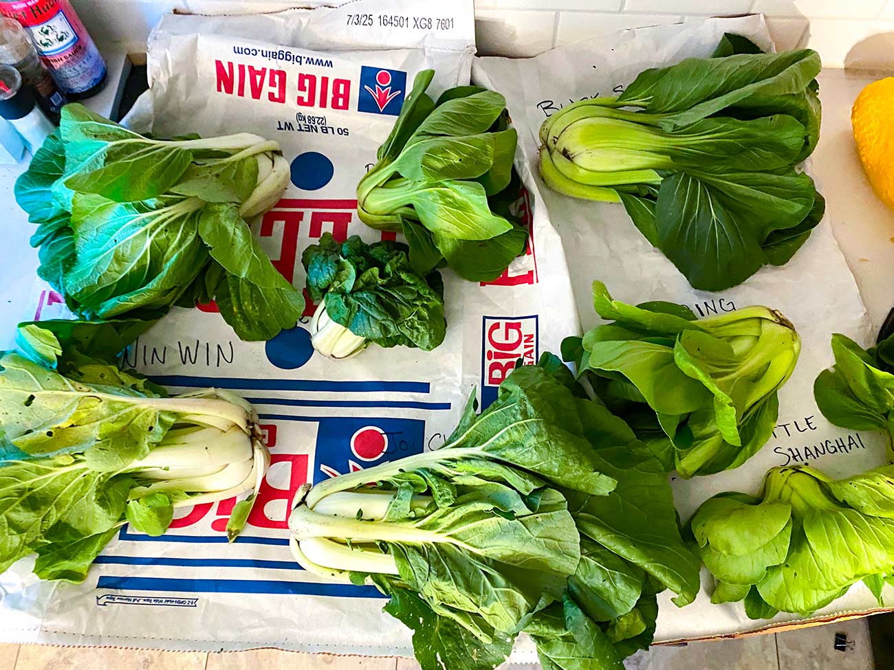 Freshly picked bok choy displayed on a table.
